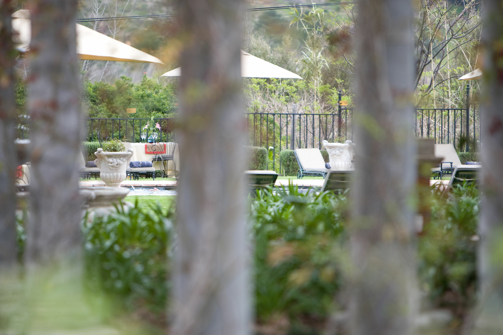 Franschhoek Country House & Villas Экстерьер фото